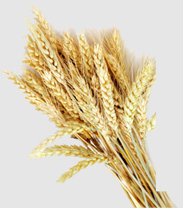 ��Ӯ���ޡ�bwin(�й���)�ٷ���վ