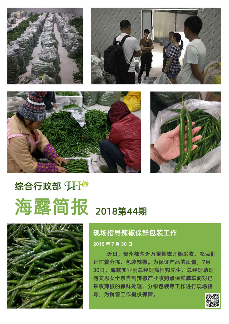 ��Ӯ���ޡ�bwin(�й���)�ٷ���վ