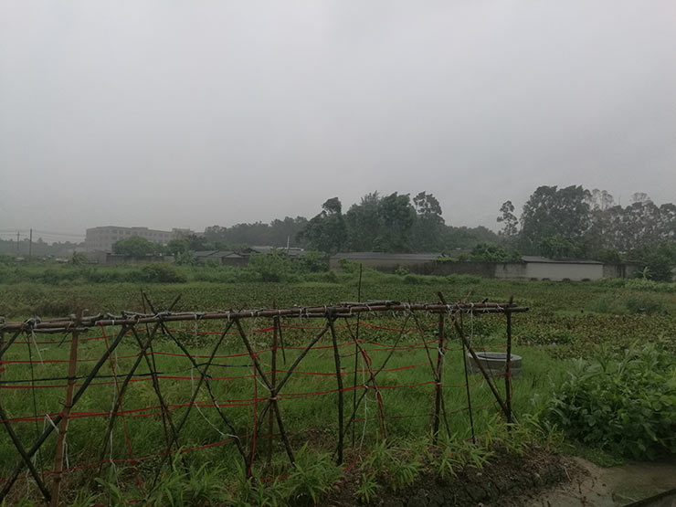 ��Ӯ���ޡ�bwin(�й���)�ٷ���վ