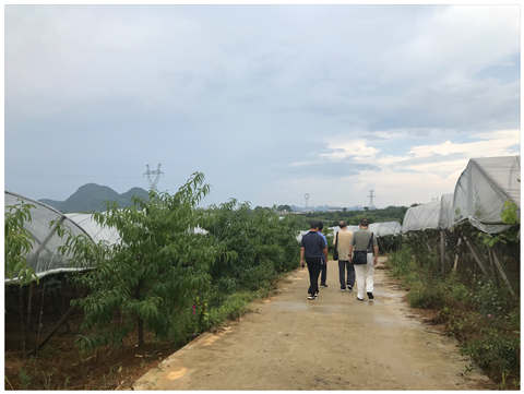 ��Ӯ���ޡ�bwin(�й���)�ٷ���վ