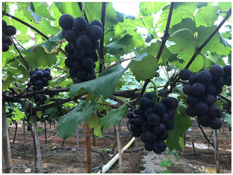 ��Ӯ���ޡ�bwin(�й���)�ٷ���վ