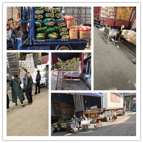 ��Ӯ���ޡ�bwin(�й���)�ٷ���վ