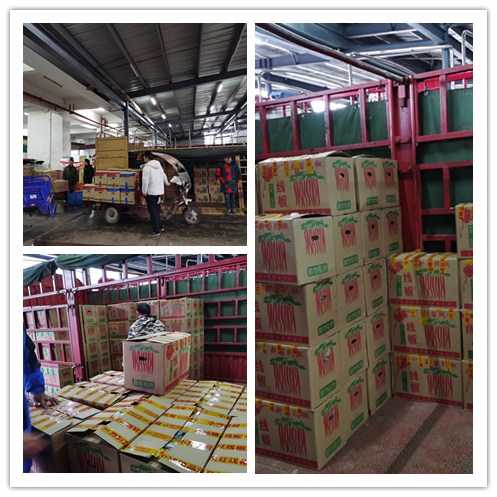 ��Ӯ���ޡ�bwin(�й���)�ٷ���վ