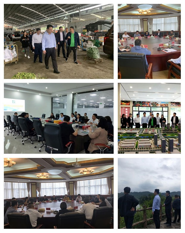 ��Ӯ���ޡ�bwin(�й���)�ٷ���վ