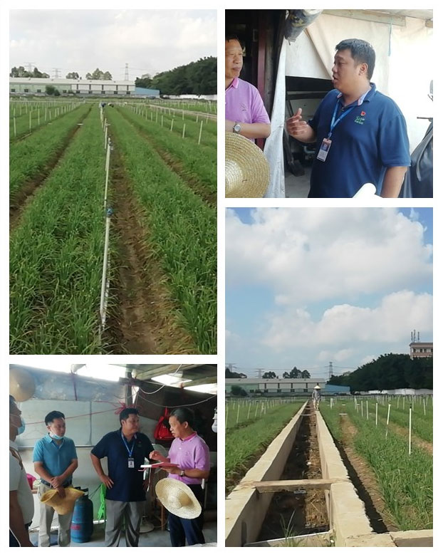 ��Ӯ���ޡ�bwin(�й���)�ٷ���վ