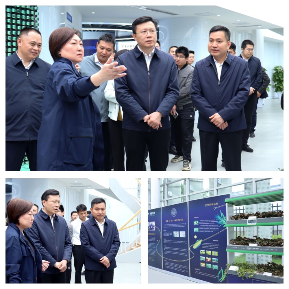 ��Ӯ���ޡ�bwin(�й���)�ٷ���վ